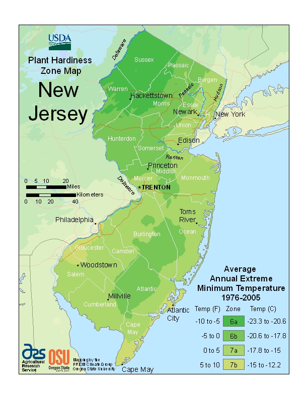 22 Maps Of New Jersey They Never Showed You In School